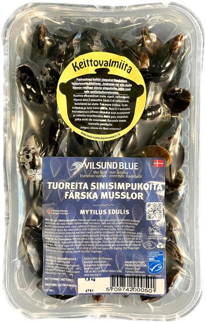 MSC sinisimpukka elävä 1,5 kg