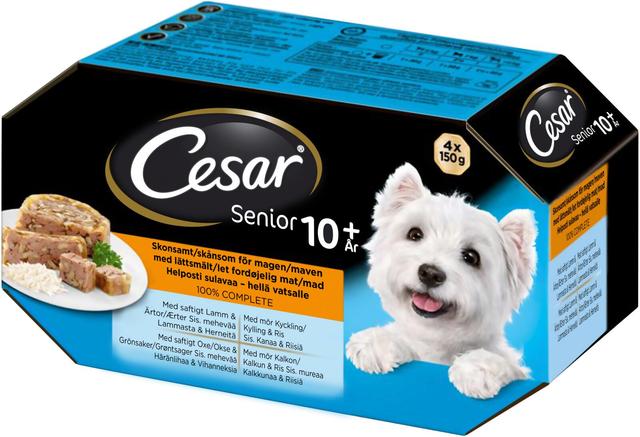 Cesar Senior hyytelölajitelma 4x150g