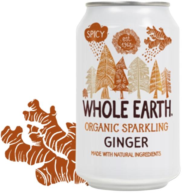 Whole Earth Luomu hiilihapotettu inkiväärijuoma 330ml