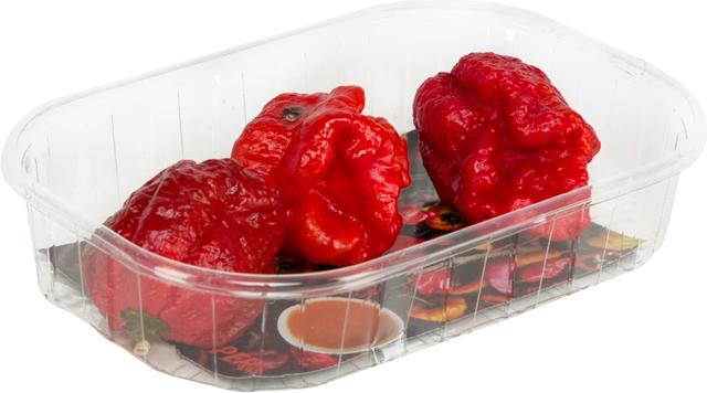 Chili Carolina Reaper 25g 10++