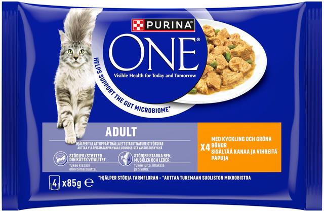 Purina One 4x85g Adult Minifileet kastikkeessa, sis. kanaa ja vihreitä papuja