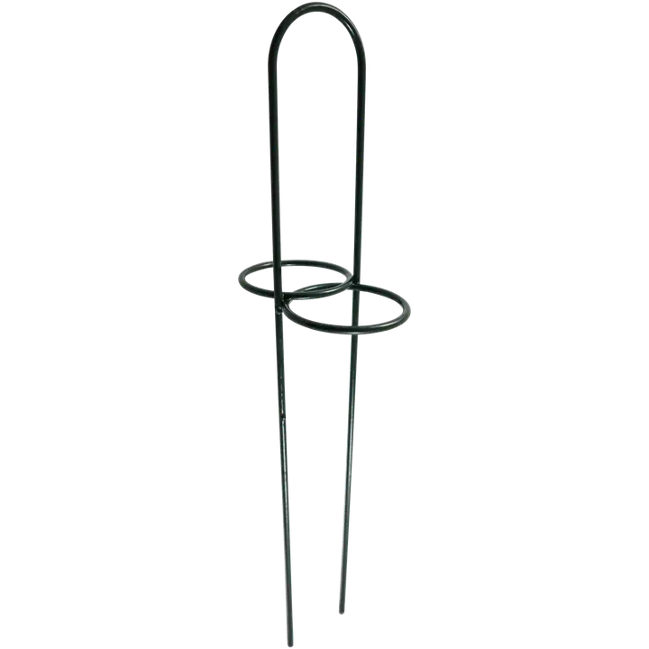 Amaryllistuki 45 cm