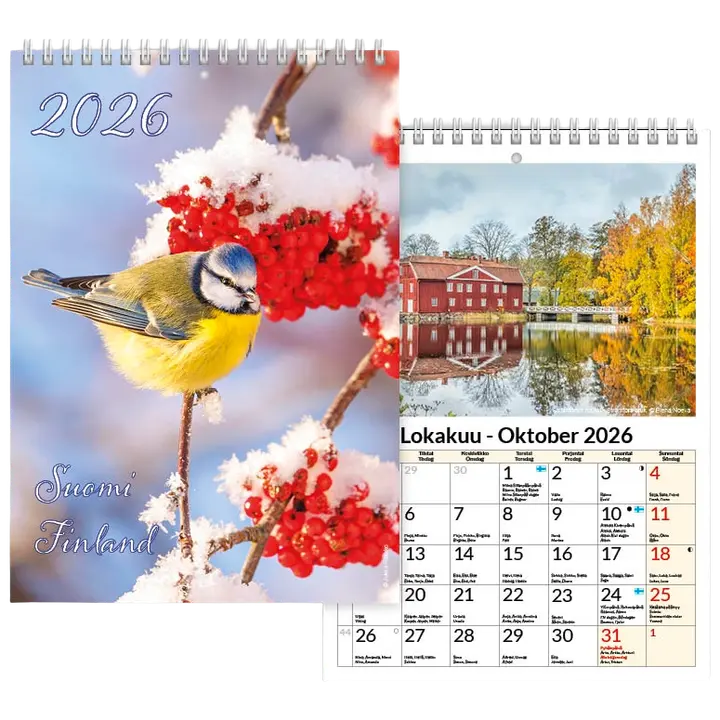 Aikataos seinäkalenteri Postikorttikalenteri A6