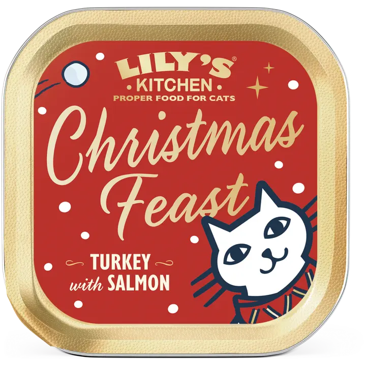 Lily's Kitchen 85g Christmas Turkey and Salmon Pate kissanruoka