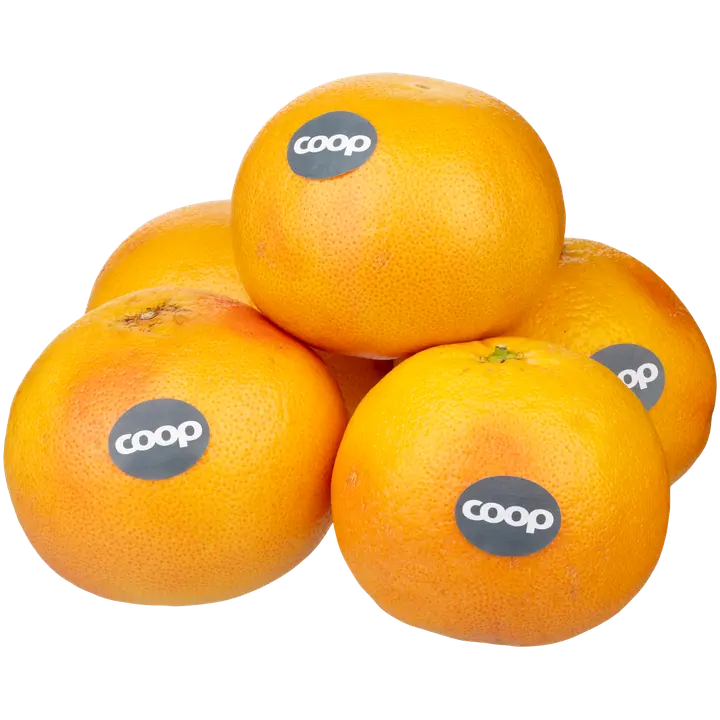 Coop verigreippi Espanja