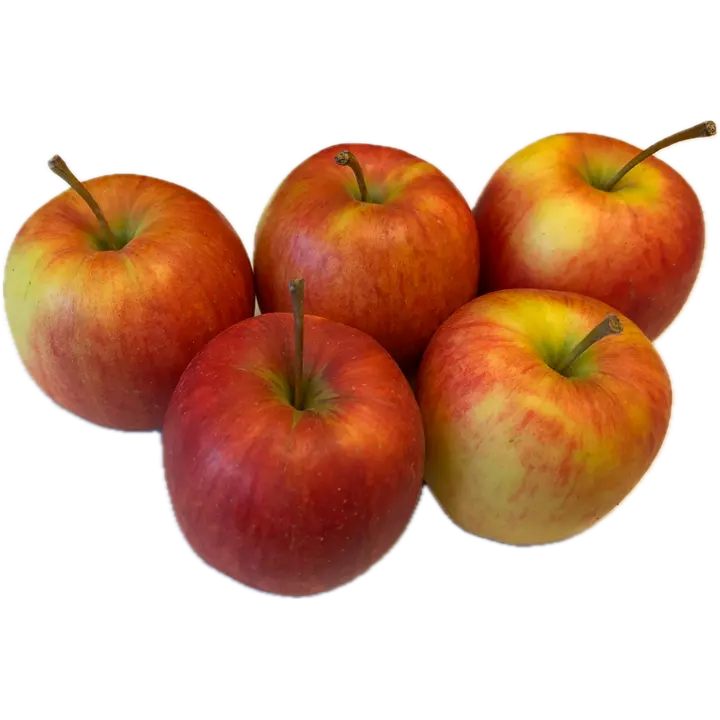 Rahkosen omena, Rubin