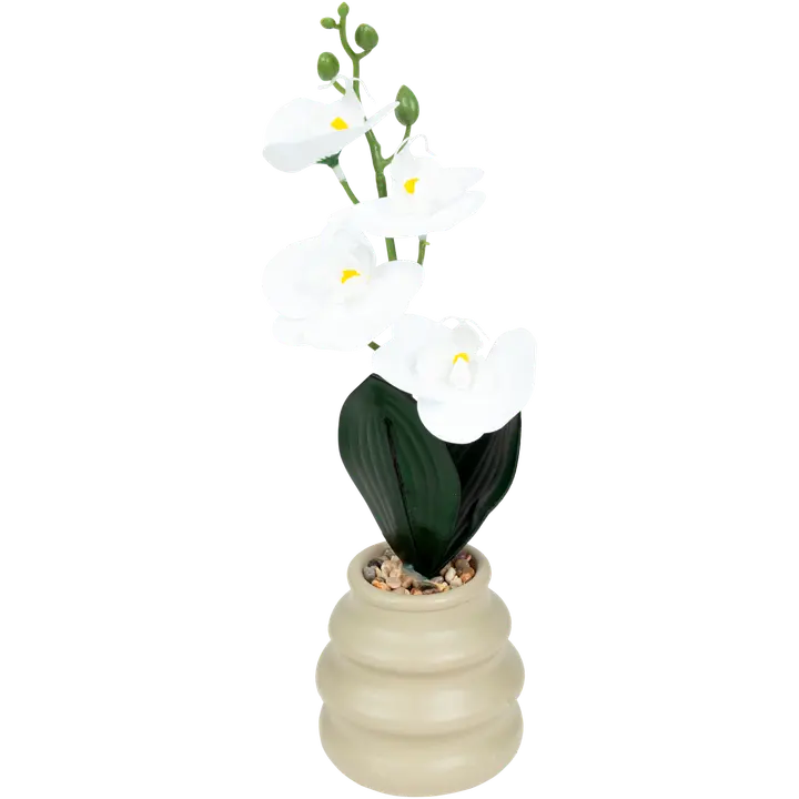Tekokasvi orkidea ruukussa valkoinen 37cm