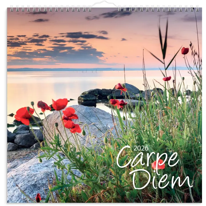 Burde Seinäkalenteri 2026 Carpe Diem