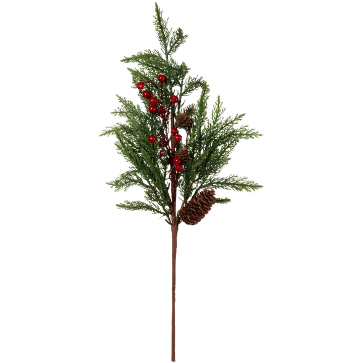 AmandaB marjaoksa havu 65 cm