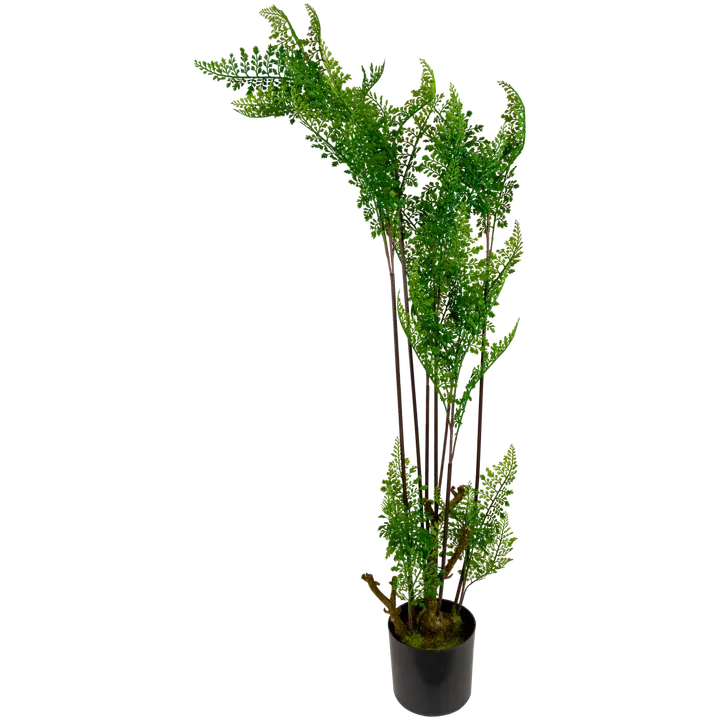 Tekokasvi 124cm