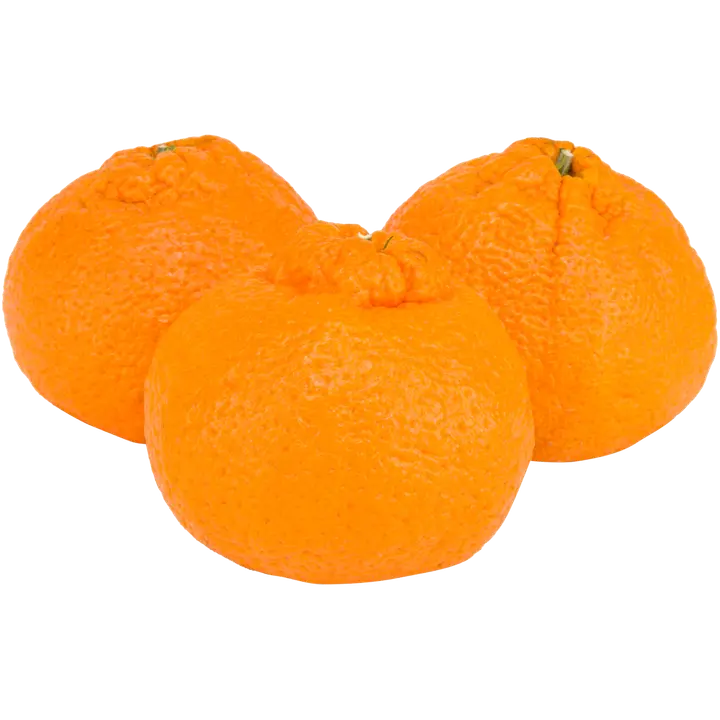 Mandariini Banzzai Shiranui