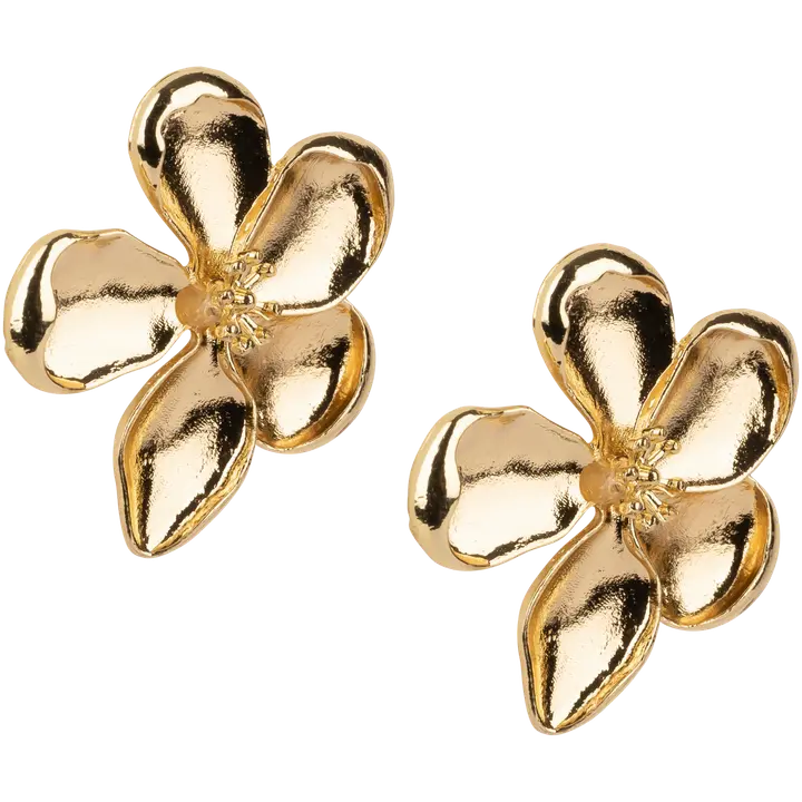 Ibero Korvakoru kukka kulta