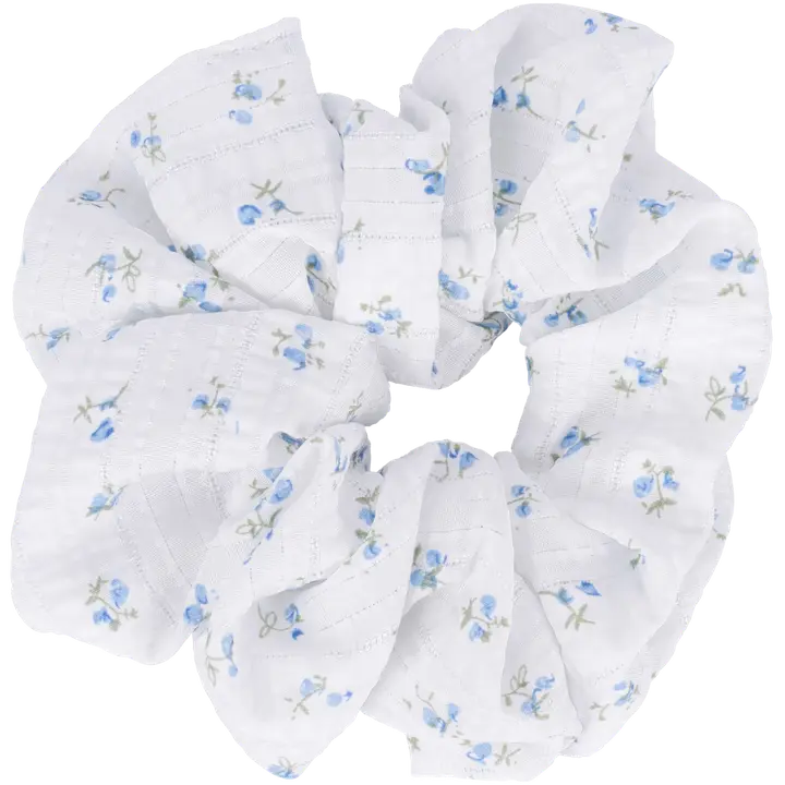 Ibero Hiusdonitsi kukka