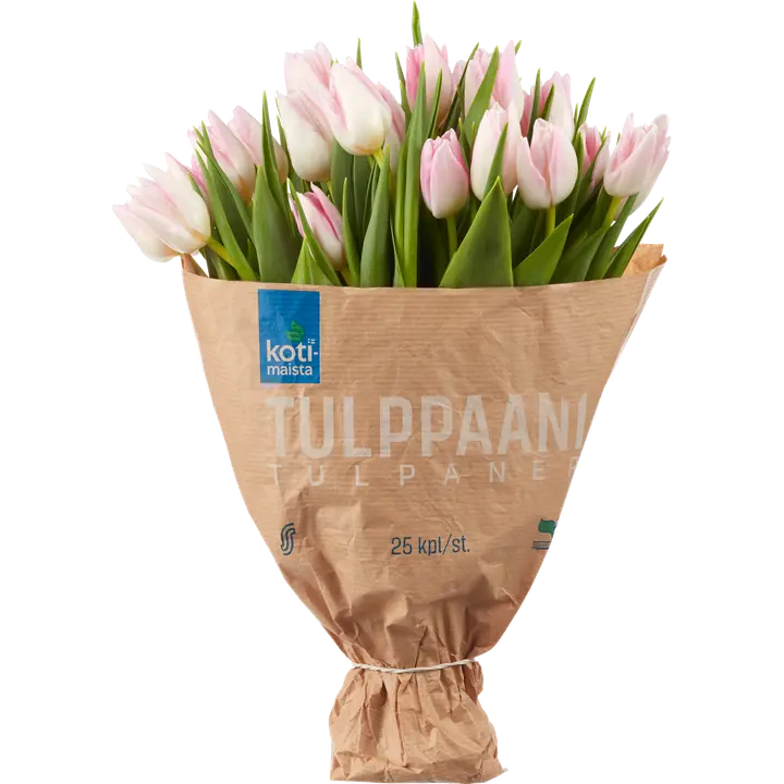 Kotimaista tulppaani 25 kpl, lajitelma, paperikääre