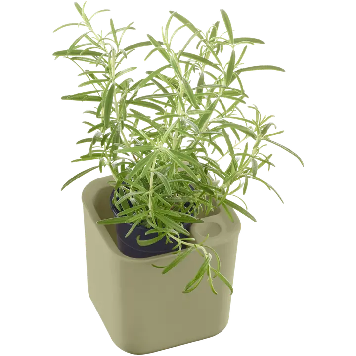 Orthex yrttiruukku Eden Recycled 12x12 cm