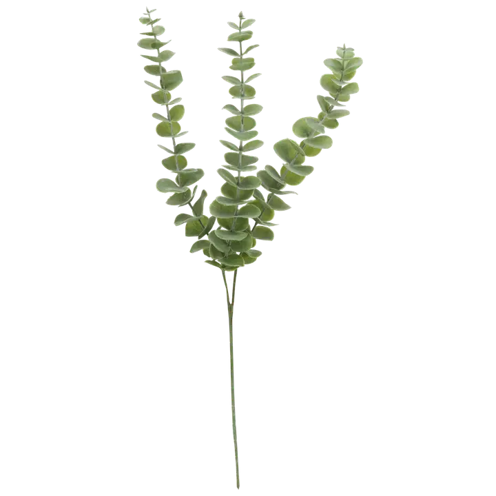 Teko-oksa eukalyptus 60 cm