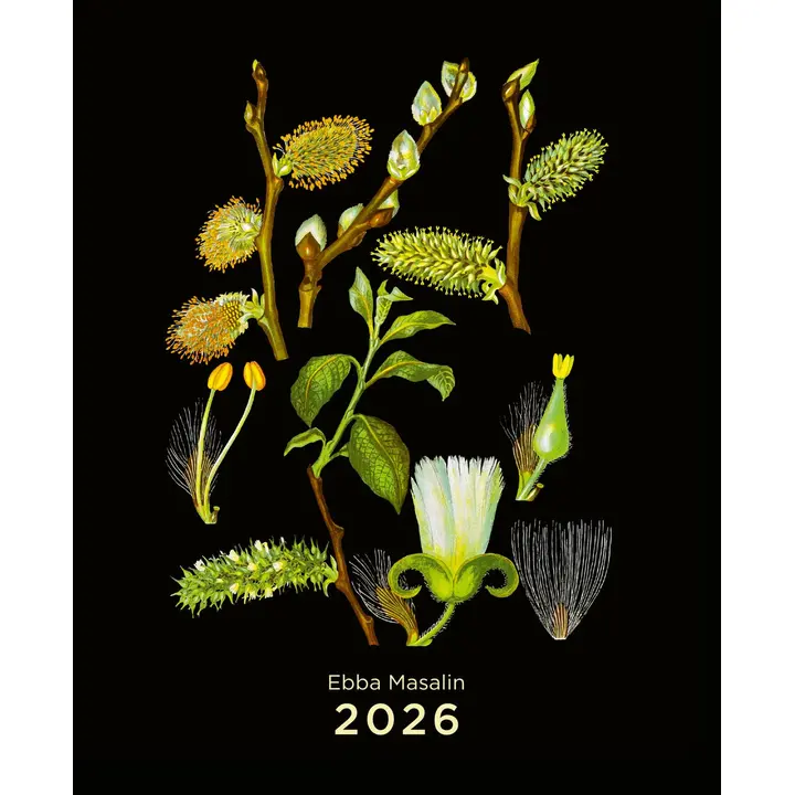 Ebba Masalin seinäkalenteri 2026