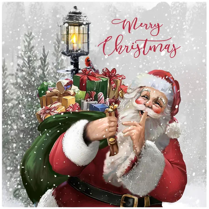 AmandaB canvastaulu 15 x 15 cm 25002