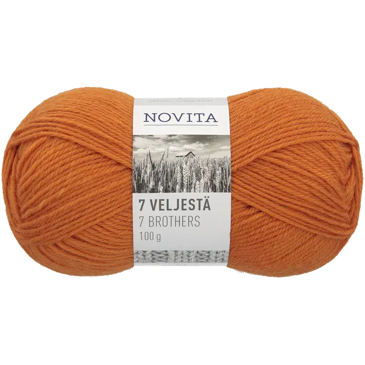 Novita Lanka 7 Veljestä 100g 273