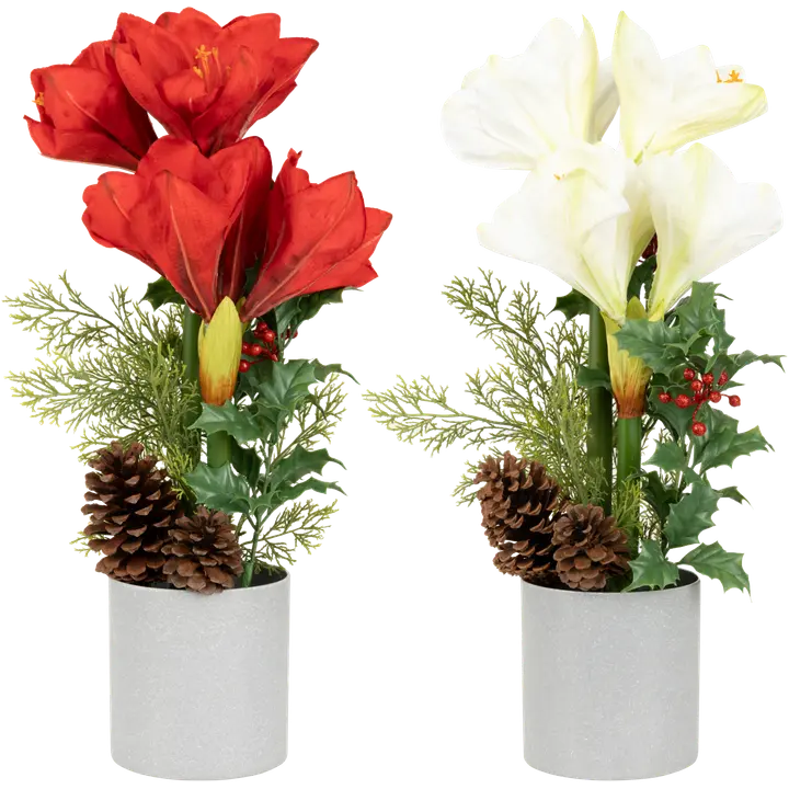 Tekokasvi Amaryllis ruukussa, erilaisia