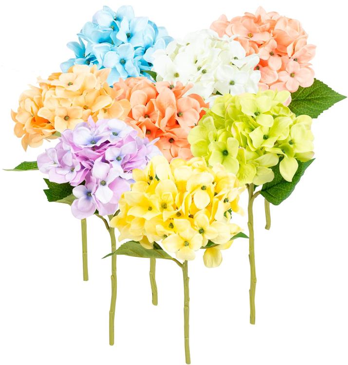 Teko-oksa hortensia, erilaisia