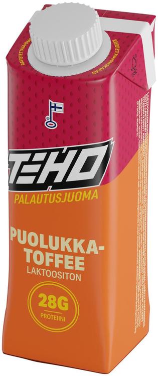 TEHO Puolukka-Toffee palautusjuoma 0,33 l