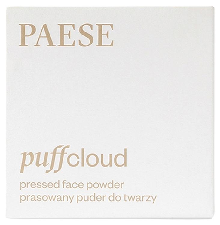 Paese Puffcloud kivipuuteri