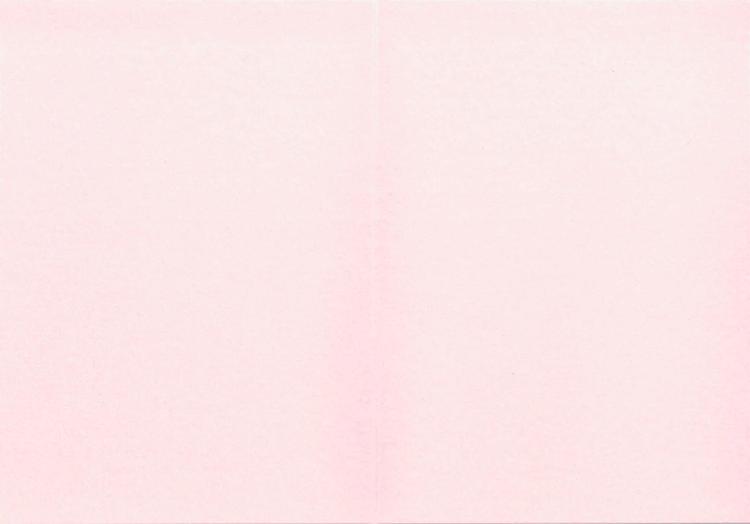 J.K. primeco 2-os helmiäiskortti rose 10kpl/pkt