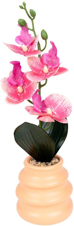 Tekokasvi orkidea ruukussa pinkki 37cm