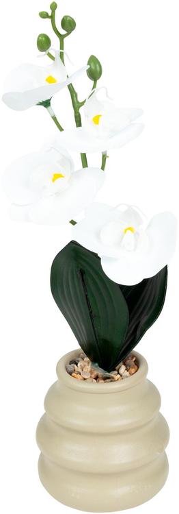 Tekokasvi orkidea ruukussa valkoinen 37cm