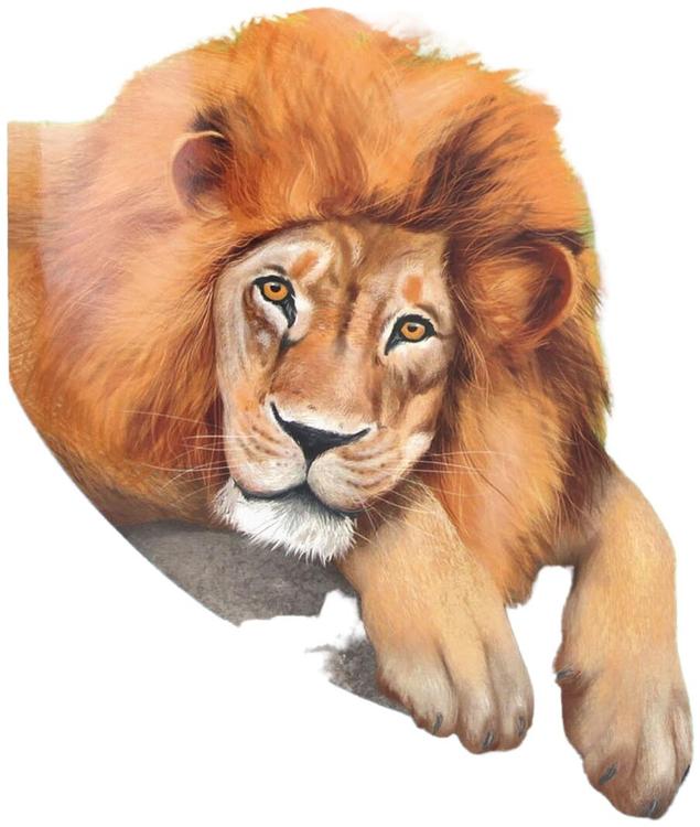 Create your Zoo Tarrakirja