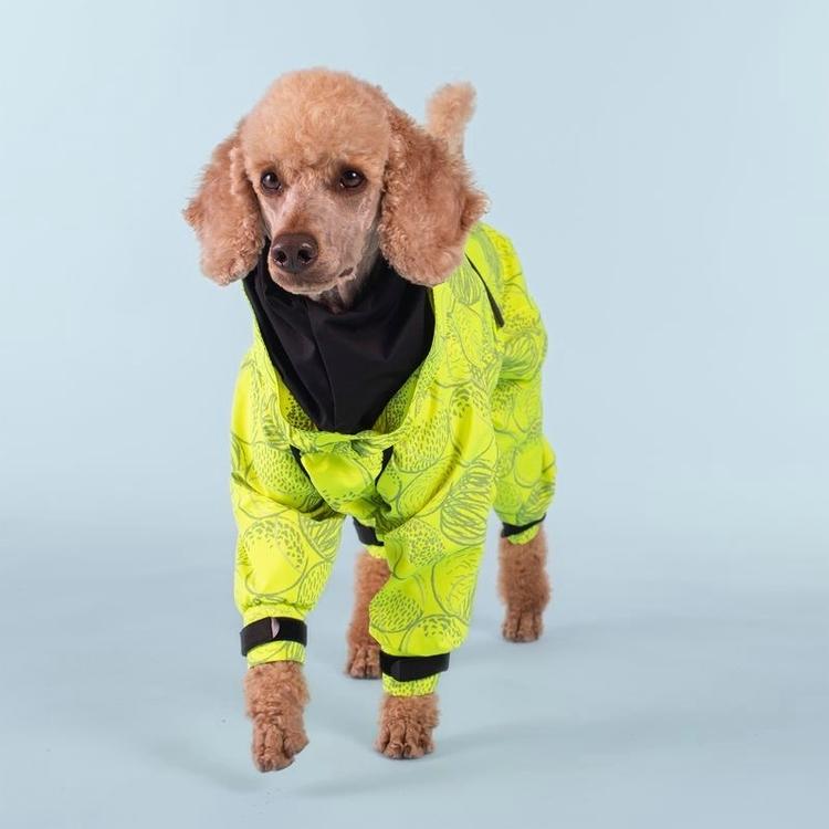 PAIKKA Rain Suit koiran sadehaalari neon 55